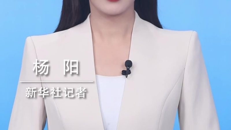 企业数据治理平台：定制开发的必要性与关键考量